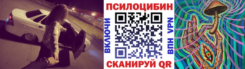 Псилоцибиновые грибы прущие грибы  купить наркотики сайты  hydra как зайти  Богородицк 