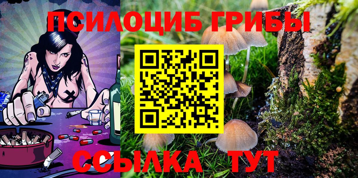 Богородицк  Псилоцибиновые грибы Psilocybine cubensis  Вход с VPN  Псилоцибиновые грибы ЛСД 